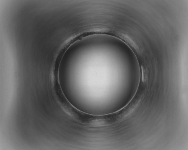 X0000112160252200908071144