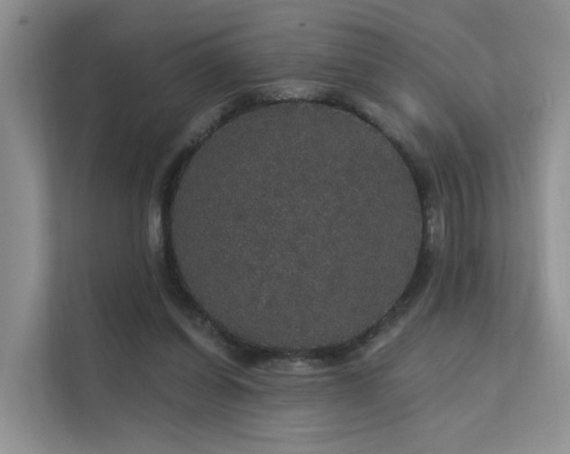 X0000112160254200908071144