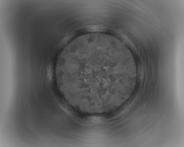 X0000112160255200908071144
