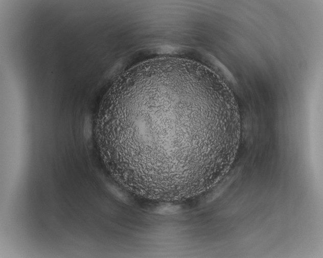 X0000112160257200908071144