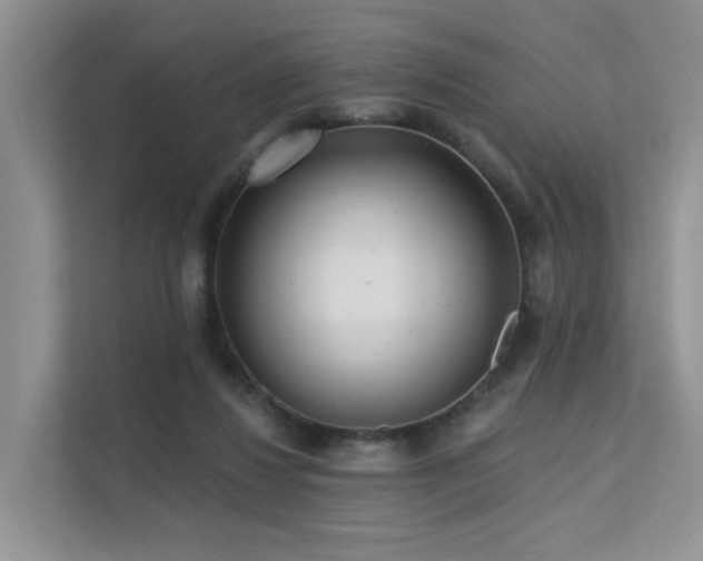 X0000112160260200908071144