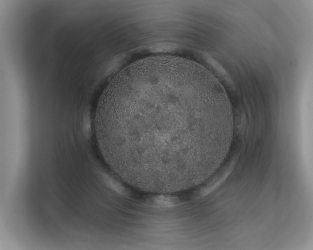 X0000112160261200908071144