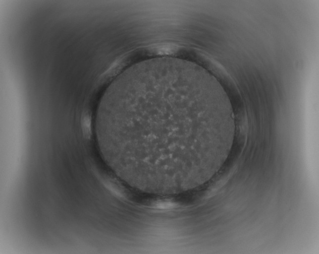 X0000112160262200908071144