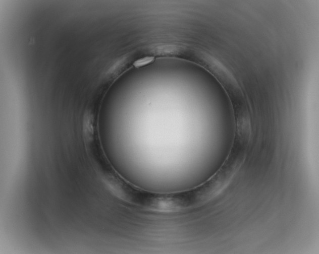 X0000112160264200908071144