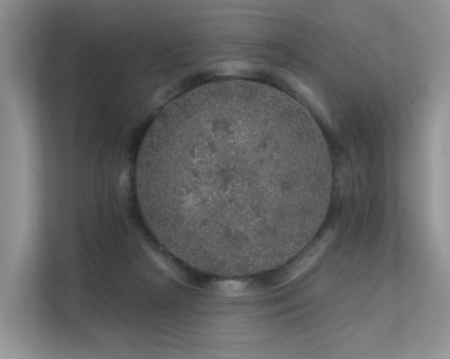 X0000112160265200908071144