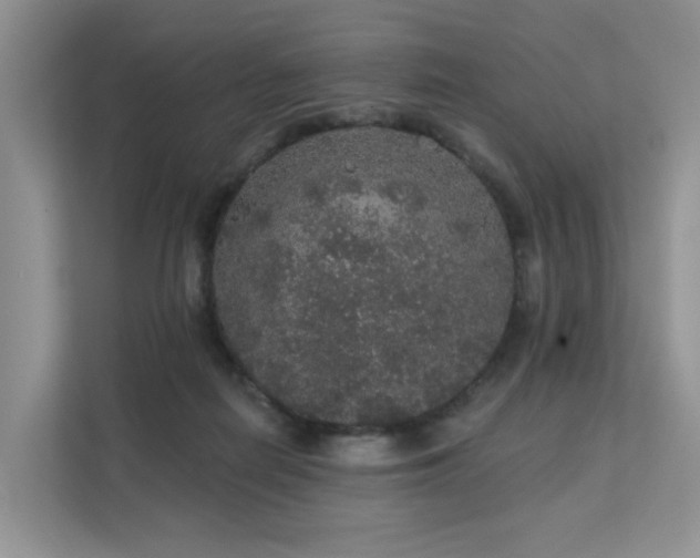 X0000112160266200908071144