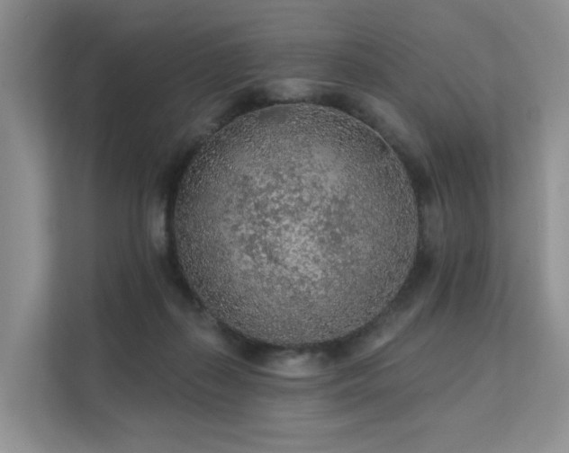 X0000112160267200908071144