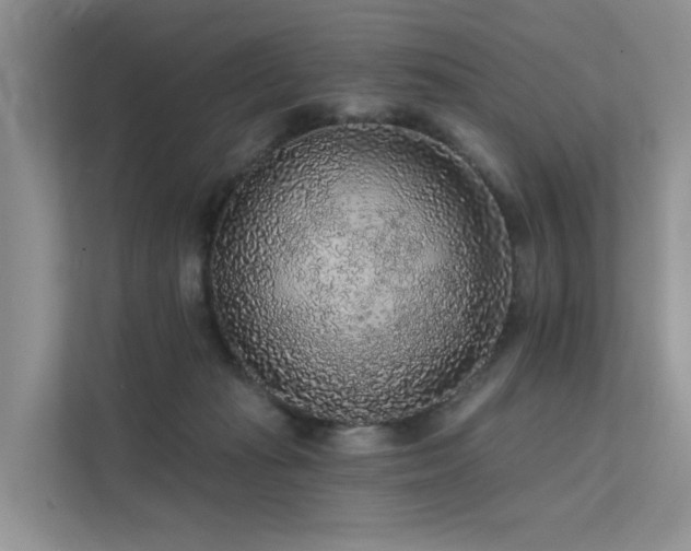 X0000112160269200908071144
