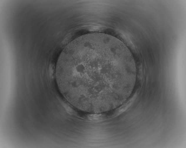 X0000112160273200908071144