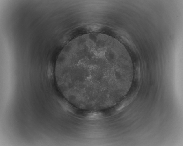 X0000112160274200908071144