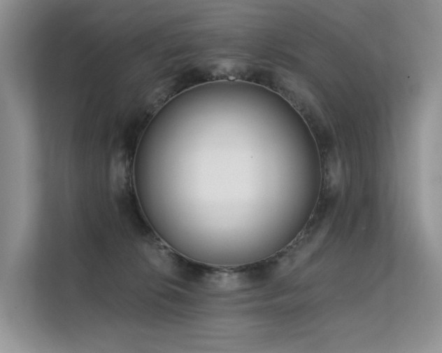 X0000112160276200908071144