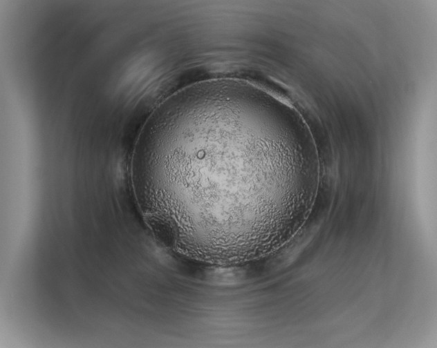 X0000112160277200908071144