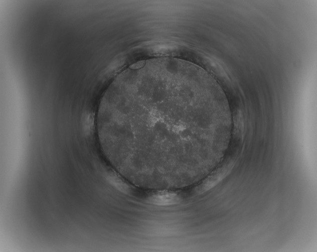 X0000112160278200908071144