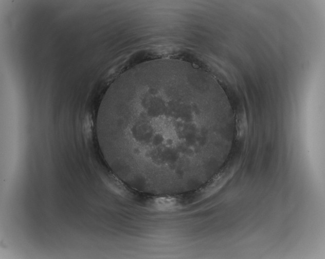 X0000112160279200908071144