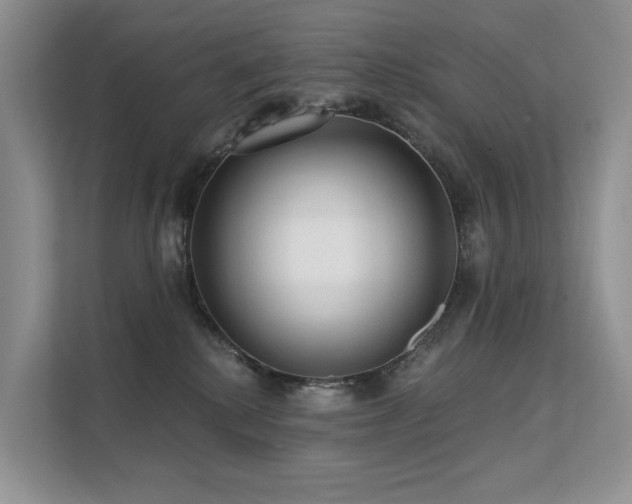 X0000112160280200908071144