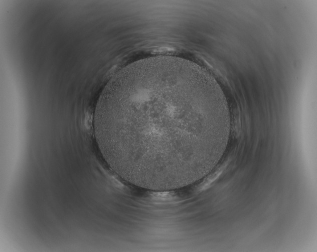 X0000112160281200908071144