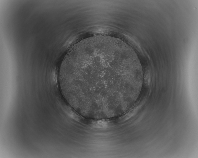 X0000112160282200908071144