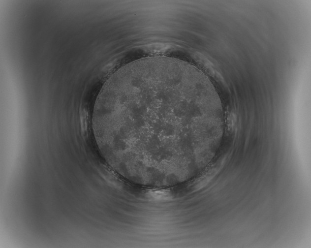 X0000112160283200908071144