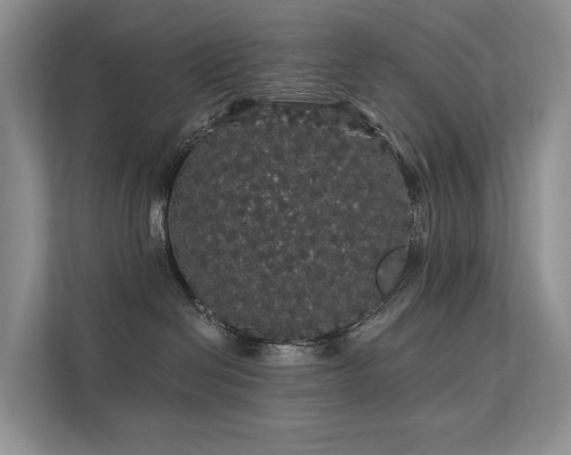 X0000112160286200908071144