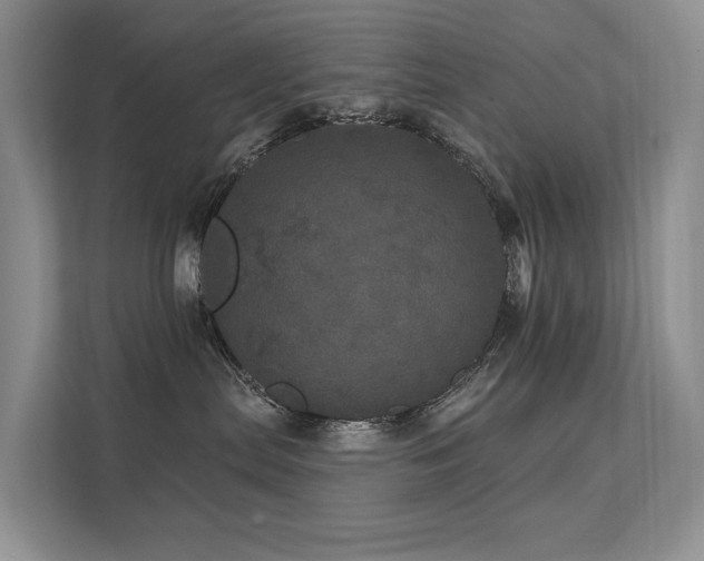 X0000112160287200908071144