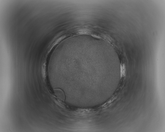 X0000112160291200908071144