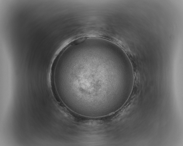 X0000112160292200908071144