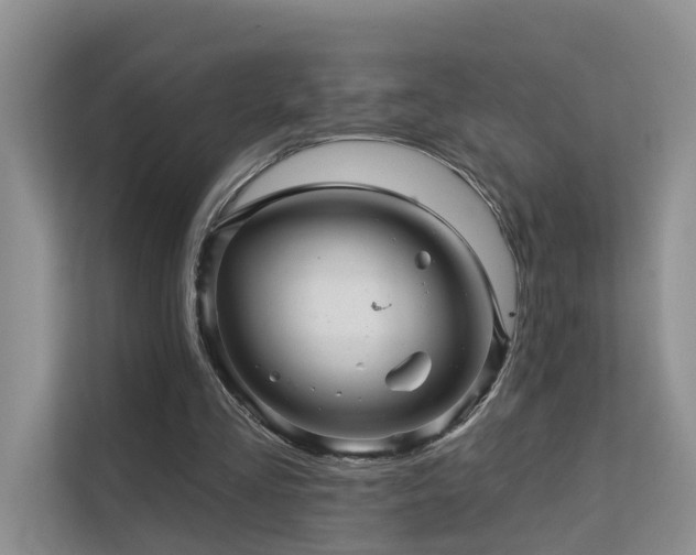 X0000112160293200908071144