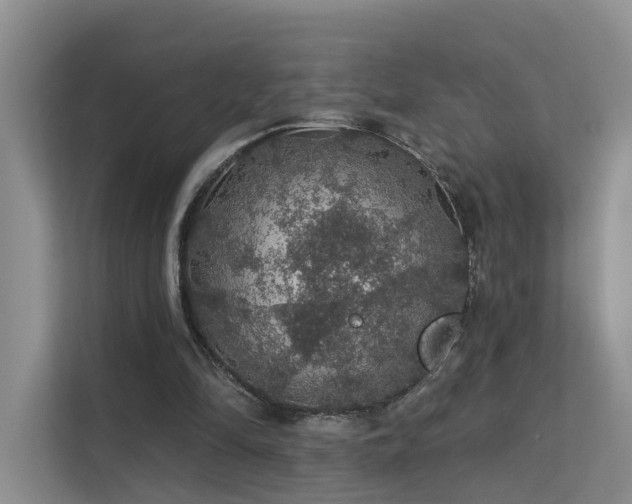 X0000112160294200908071144