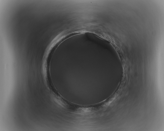 X0000112160295200908071143
