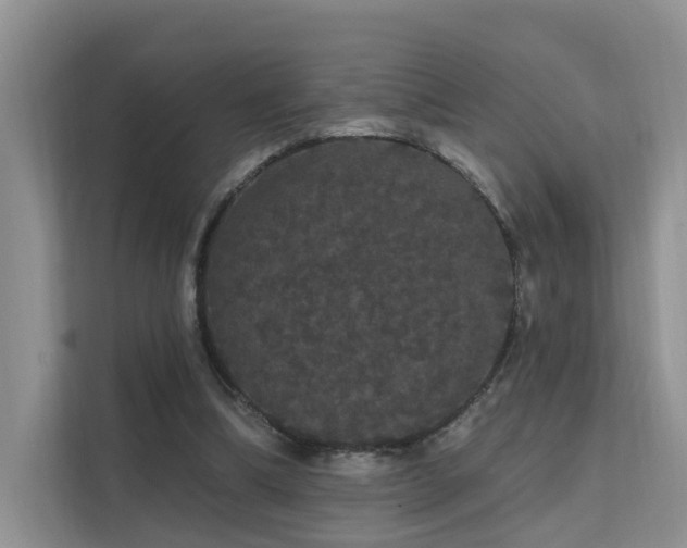 X0000112160298200908071143