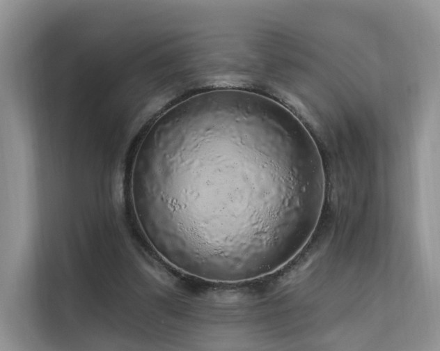 X0000112160299200908071143