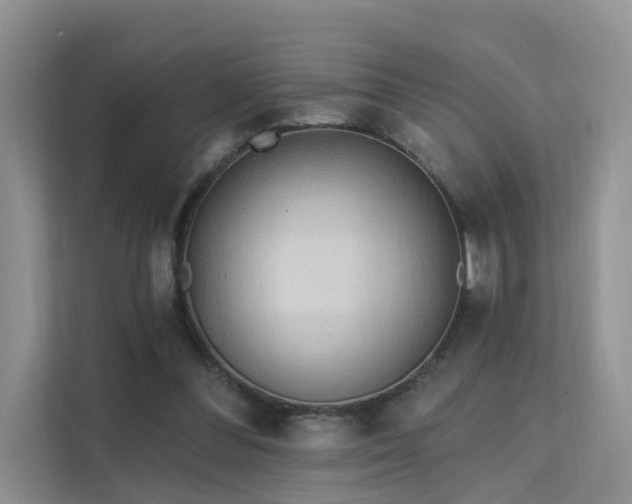 X0000112160300200908071143