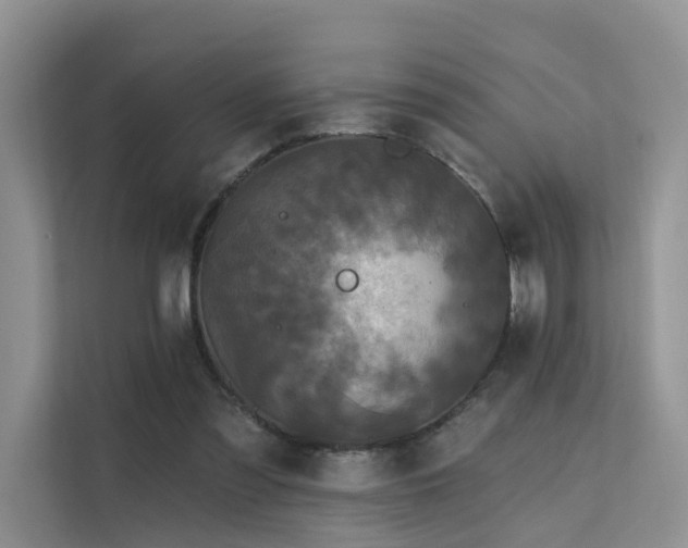 X0000112160301200908071143