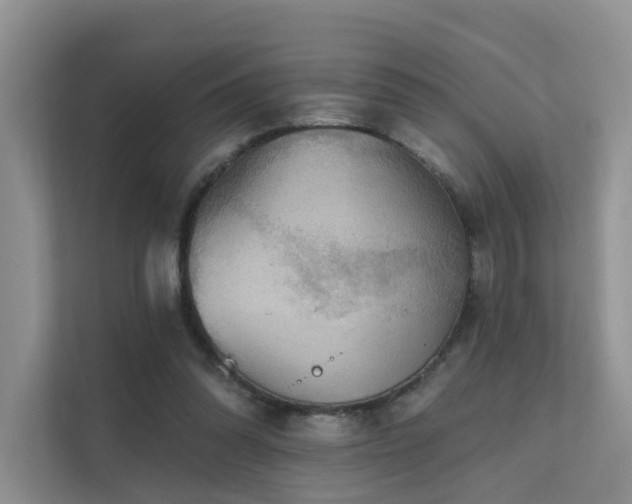 X0000112160302200908071143