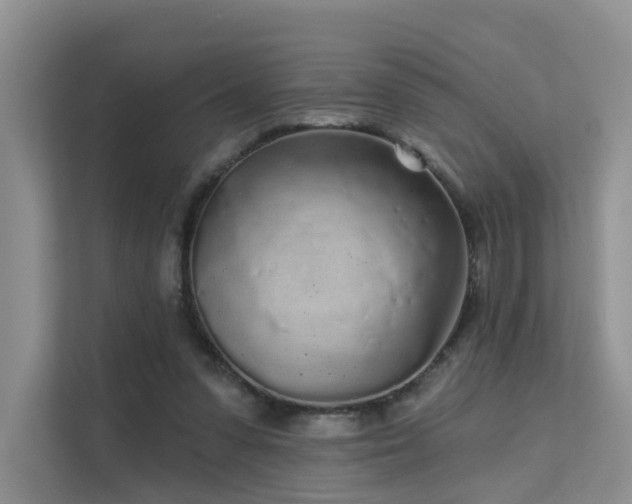 X0000112160303200908071143