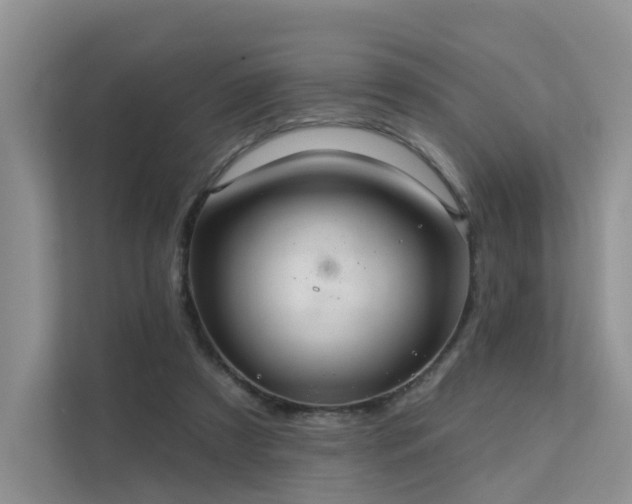 X0000112160305200908071143