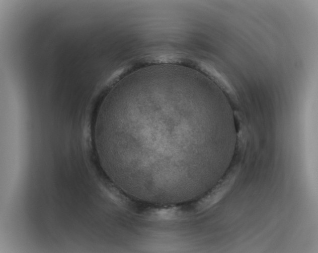X0000112160306200908071143