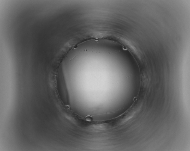 X0000112160307200908071143