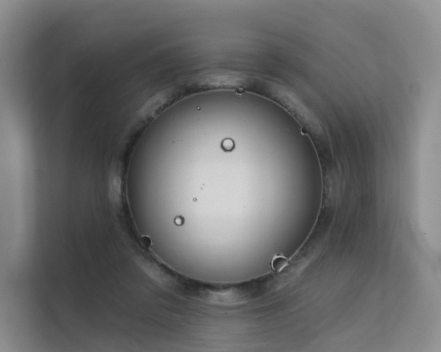 X0000112160309200908071143