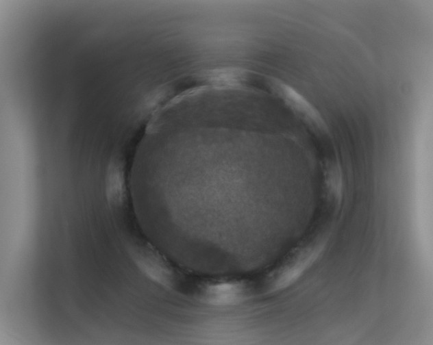 X0000112160312200908071143