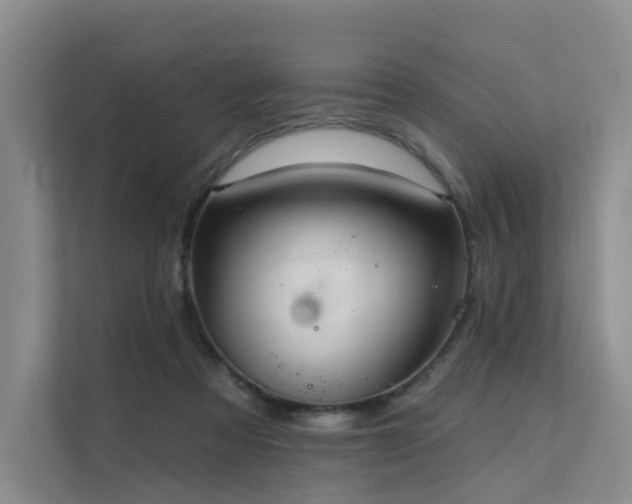 X0000112160313200908071143