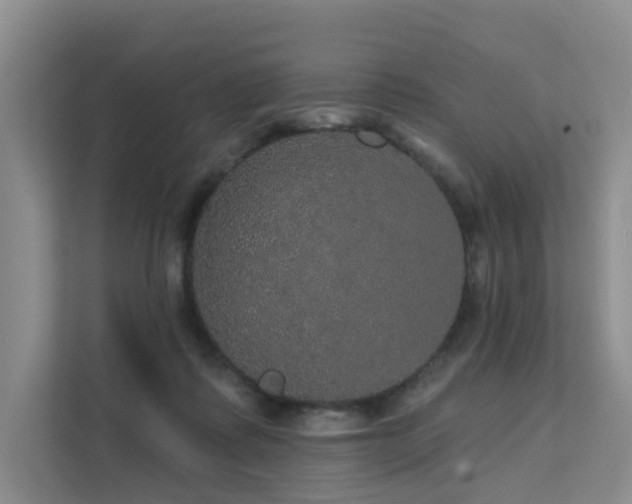 X0000112160315200908071143