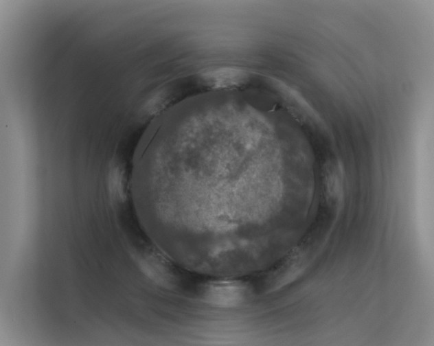 X0000112160316200908071143