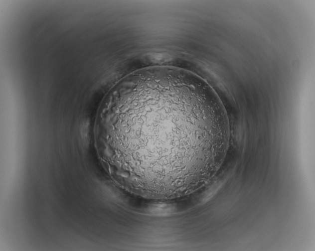 X0000112160319200908071143