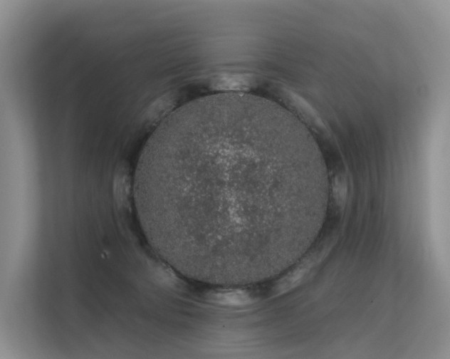 X0000112160322200908071143