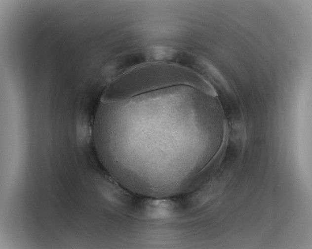 X0000112160324200908071143