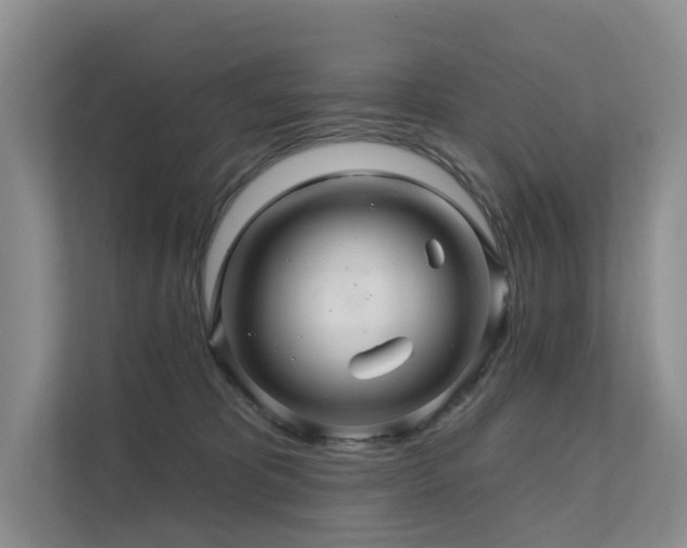 X0000112160325200908071143