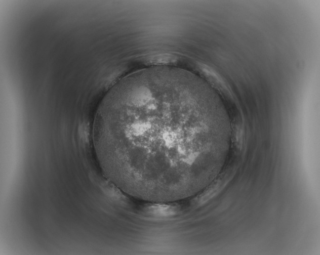 X0000112160326200908071143