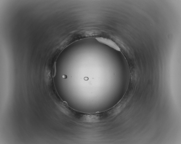 X0000112160327200908071143