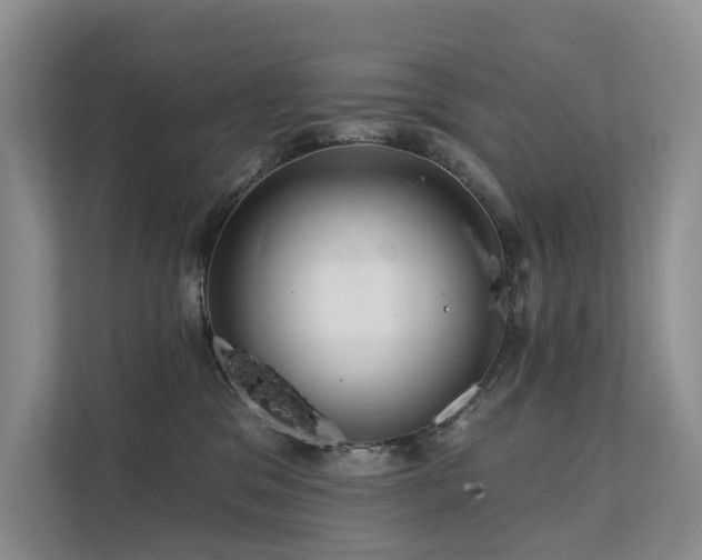 X0000112160329200908071143